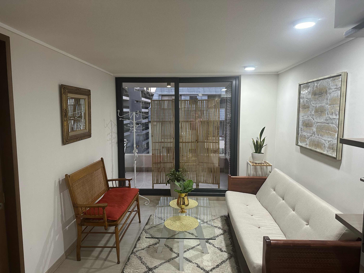 Arriendo Departamento 1D In&eacute;s de Su&aacute;rez - Providencia