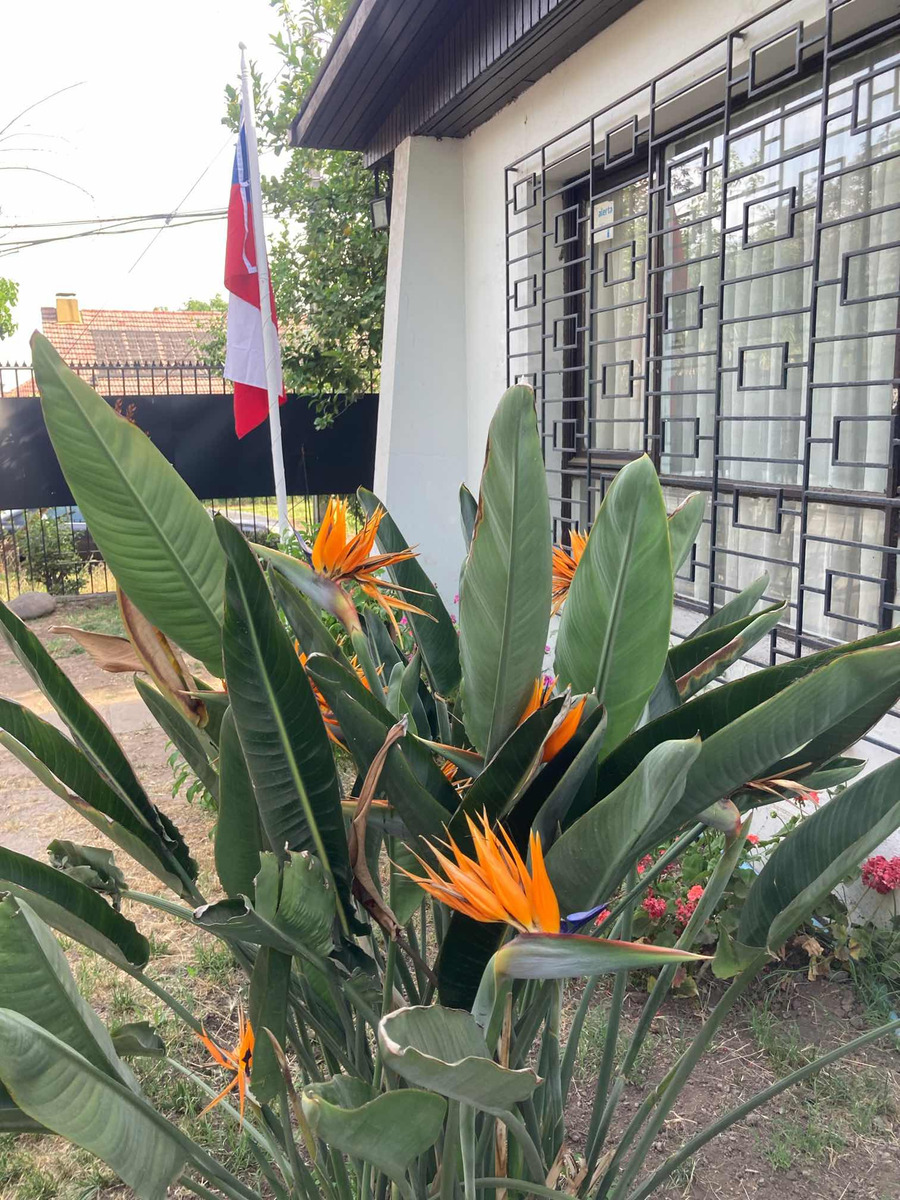 Arriendo Casa 3D 1B 2E Palmas de Mallorca - La Reina