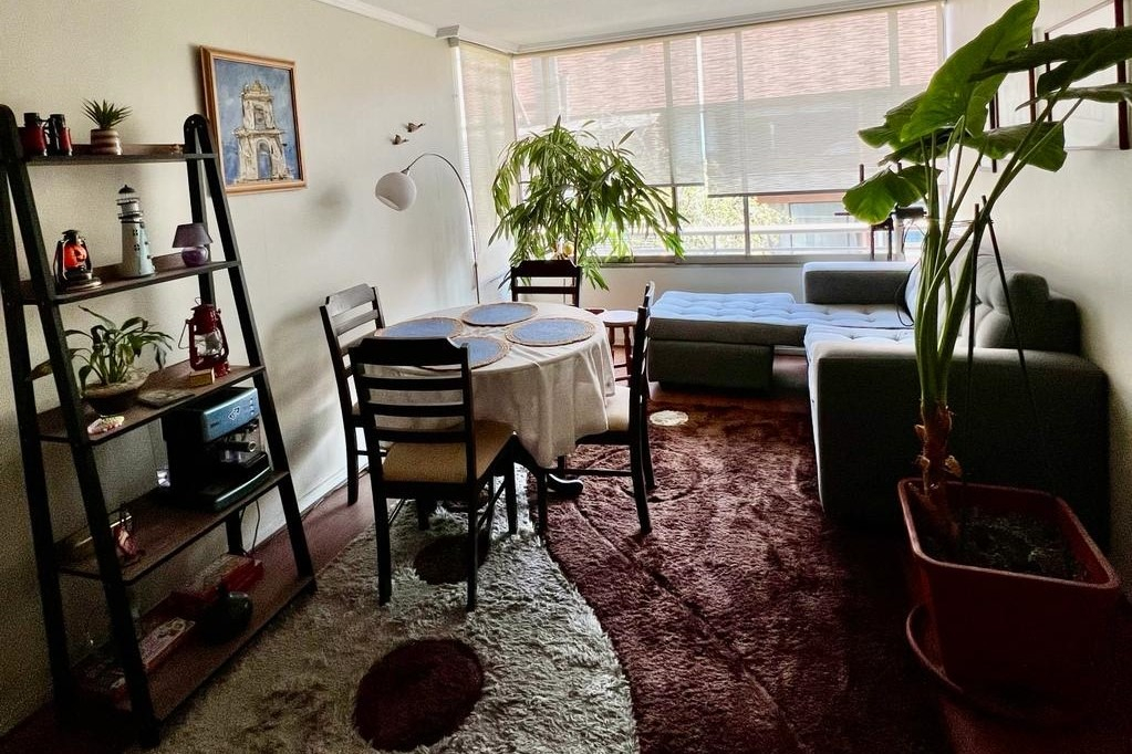 Arriendo Departamento NO 1D en suite Walk-in cl&oacute;set 1B 1E Los Leones - Providencia