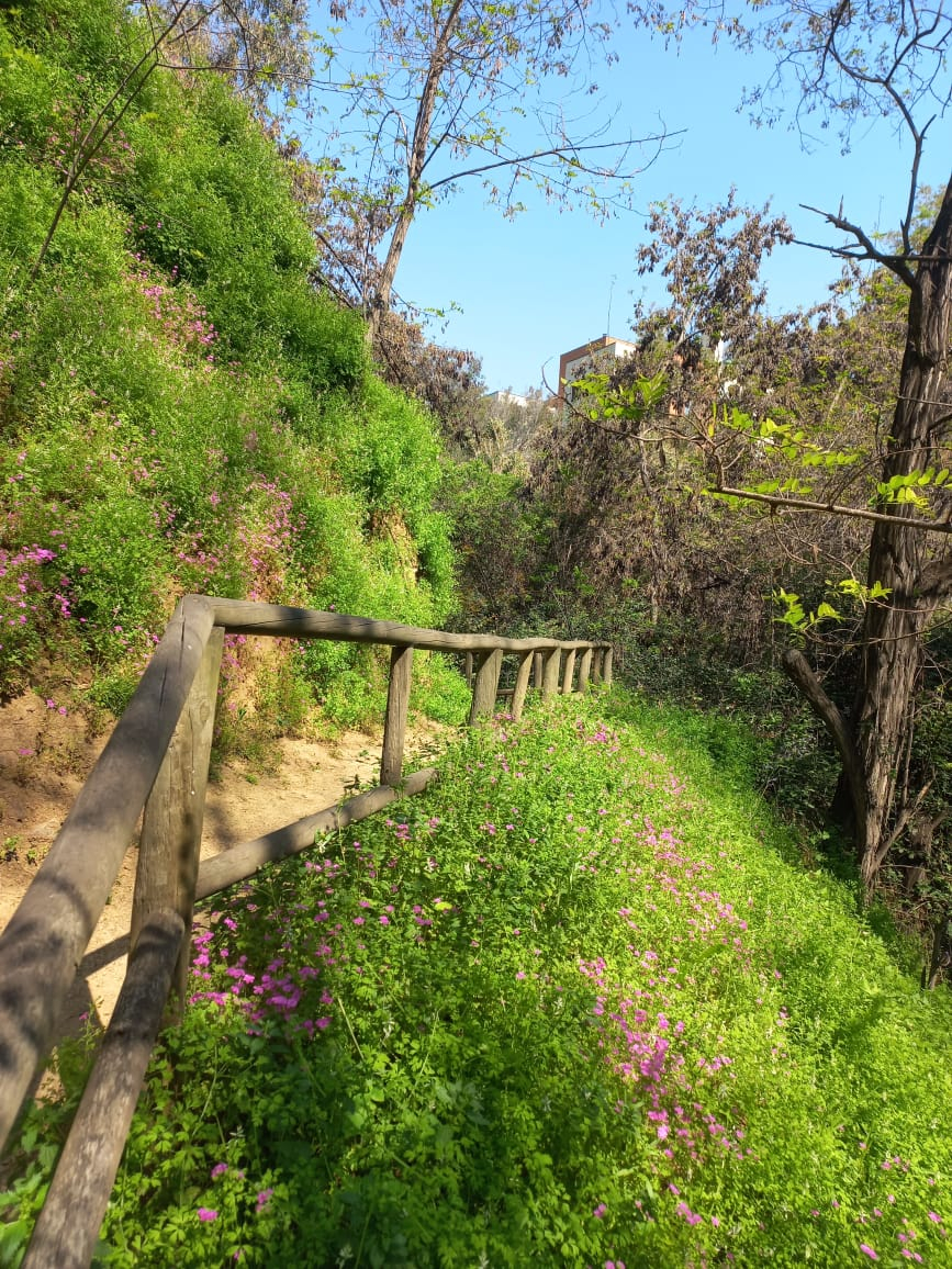 Venta Departamento 3D 3B 1E Las Lilas - Providencia