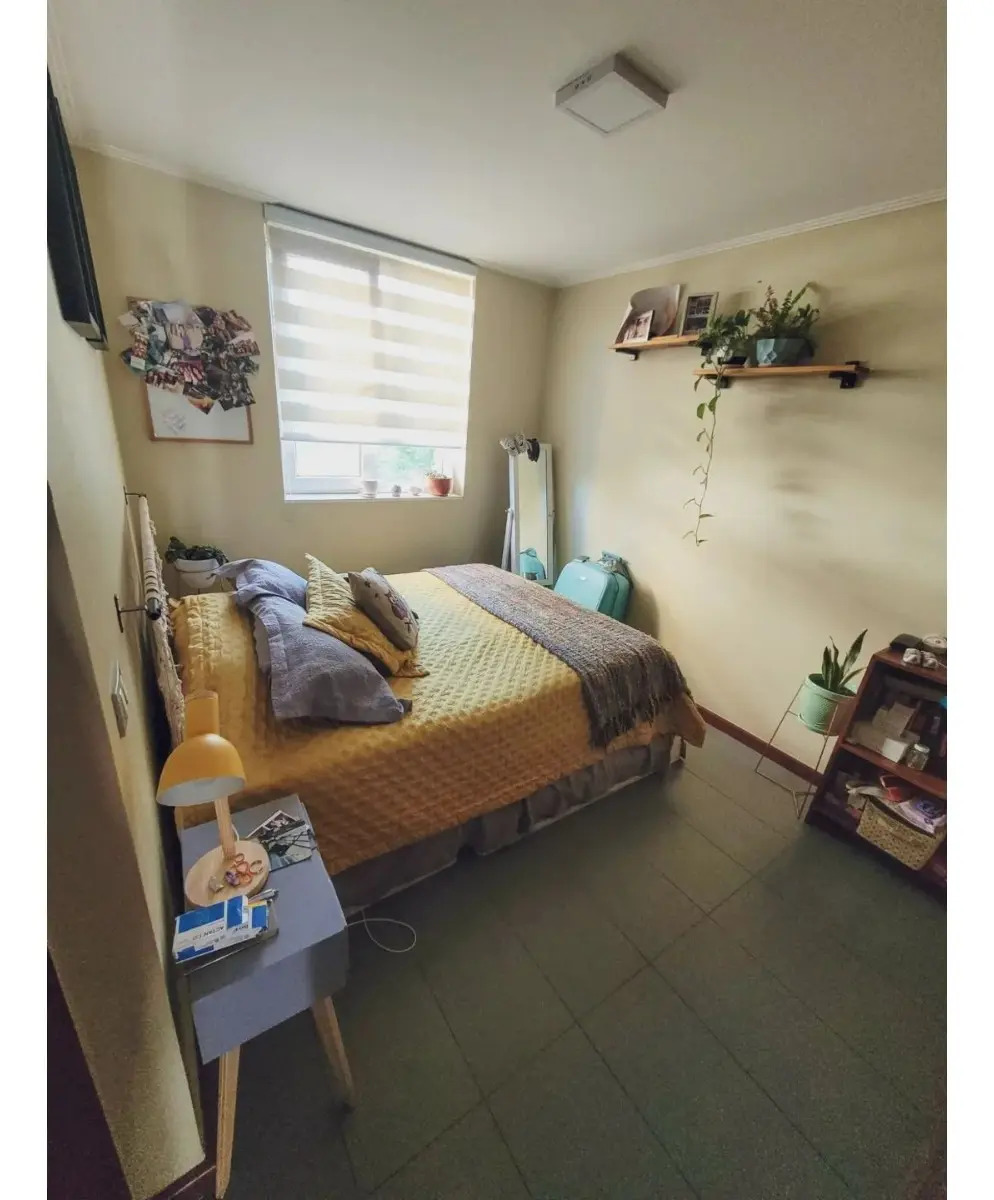 Arriendo Departamento P 3D 3B 1E 1Bd Barrio Italia - Providencia