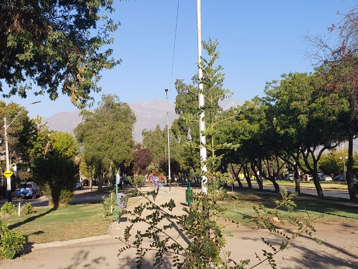 Venta Casa NO 2D 2B 2E 2B Juan G&oacute;mez Millas - &Ntilde;u&ntilde;oa