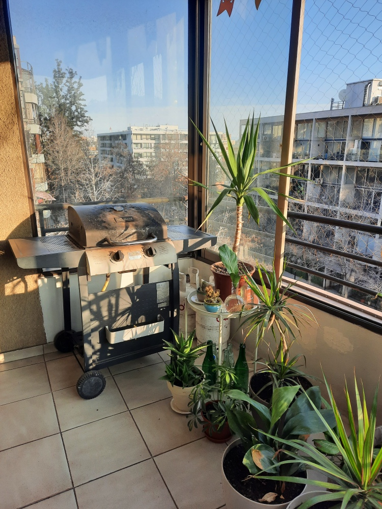 Venta Departamento 2D 2B 1E In&eacute;s de Su&aacute;rez - Providencia