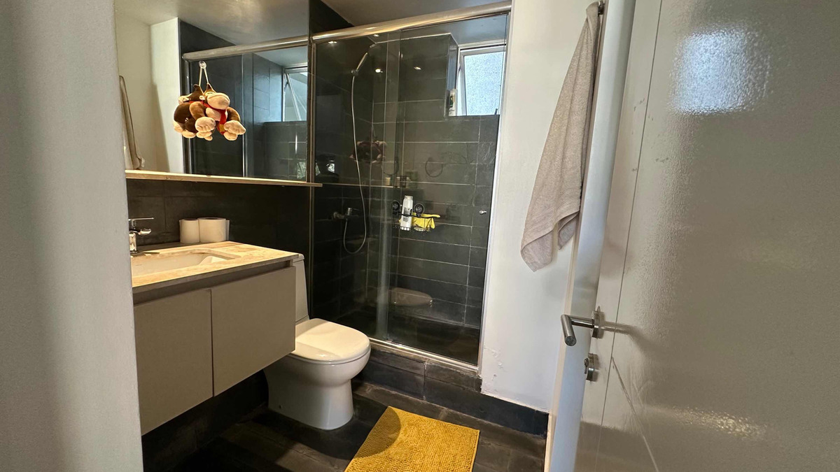 Venta Departamento 1D 2B 1E In&eacute;s de Su&aacute;rez - Providencia