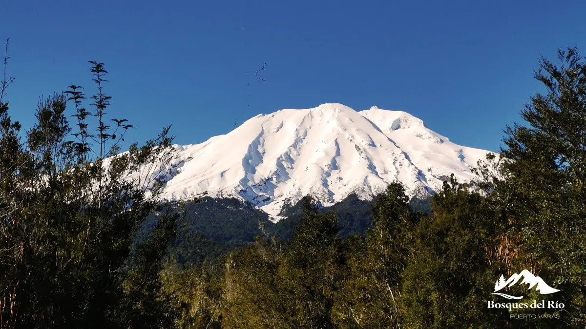 Parcela Bosque Nativo y R&iacute;o con Rol propio 5000m - Puerto Varas