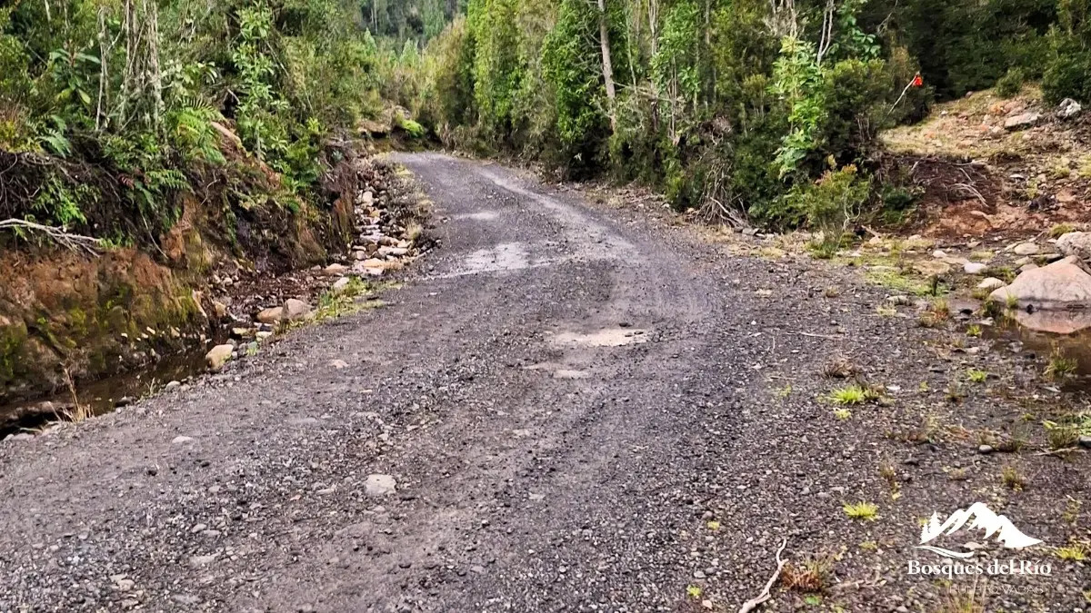 Parcela Bosque Nativo y R&iacute;o con Rol propio 5000m - Puerto Varas