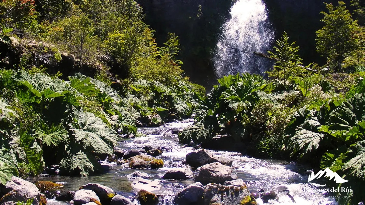 Parcela Bosque Nativo y R&iacute;o con Rol propio 5000m - Puerto Varas