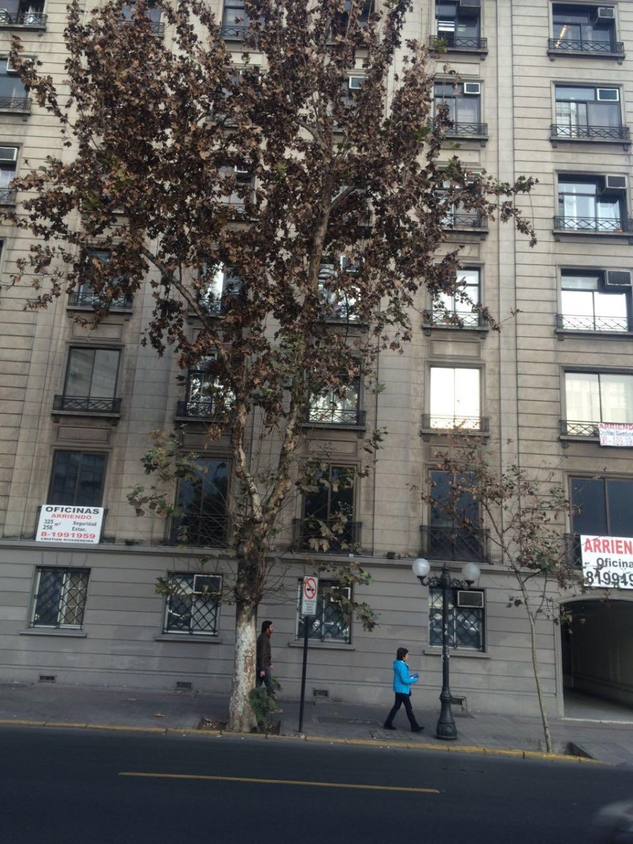 Arriendo Oficina 30B 28E 10B Salvador - Providencia