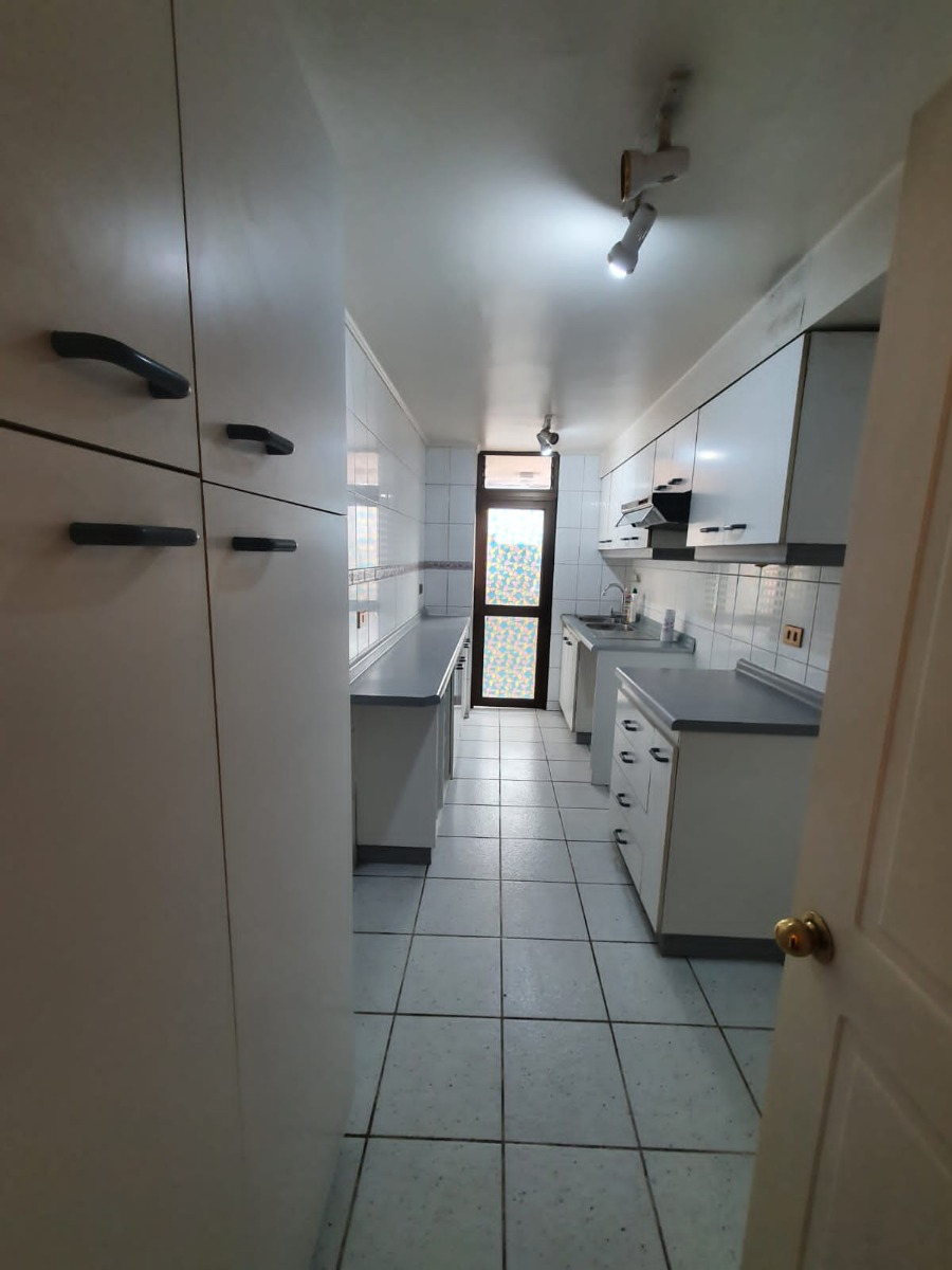Arriendo Departamento P 2D en suite Walk-in cl&oacute;set 2B 1E 1B In&eacute;s de Su&aacute;rez - Providencia
