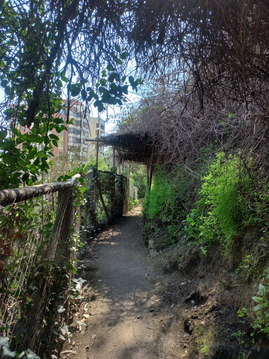 Venta Departamento 3D 3B 1E Las Lilas - Providencia