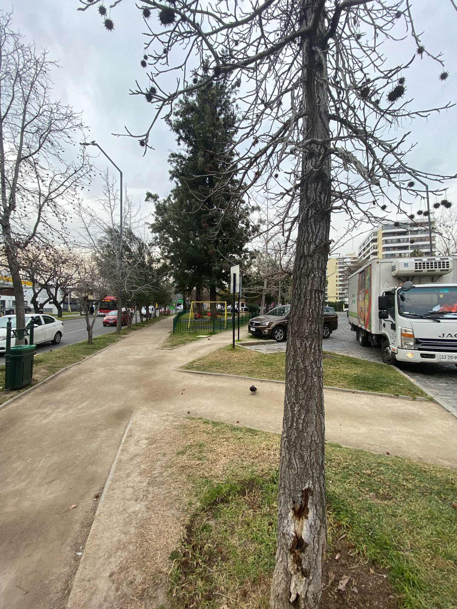 Venta Casa 2D 1B Barrio Italia - Providencia