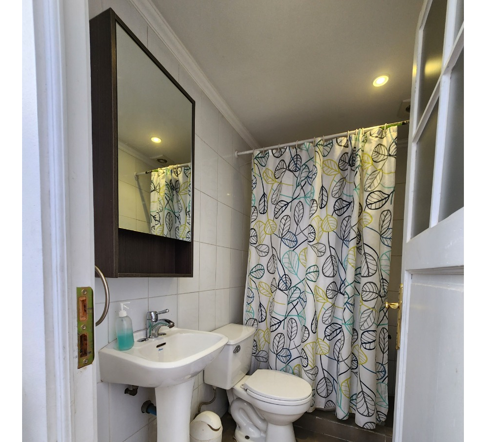 Venta Casa NO 4D en suite Walk-in cl&oacute;set 4B 2E 3B Pedro de Valdivia Norte - Providencia