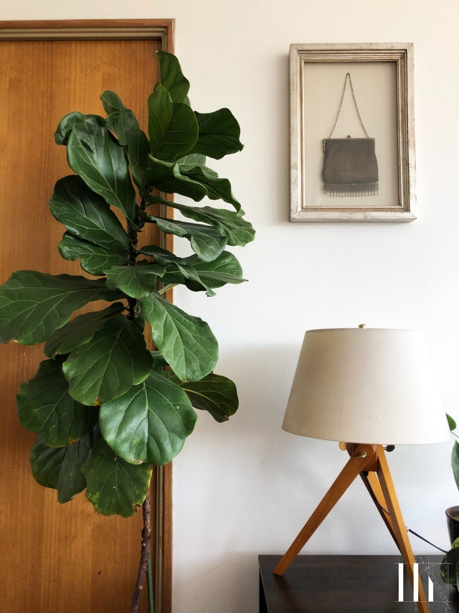 Venta Departamento NO 4D 3B 1E 1B Las Lilas - Providencia