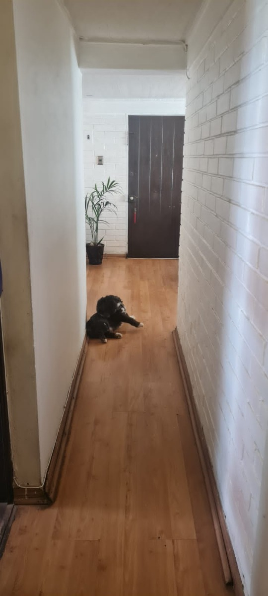 Venta Departamento SP 3D 1B 1E In&eacute;s de Su&aacute;rez - Providencia