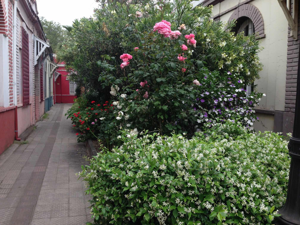 Arriendo Casa 1D Bellavista - Providencia