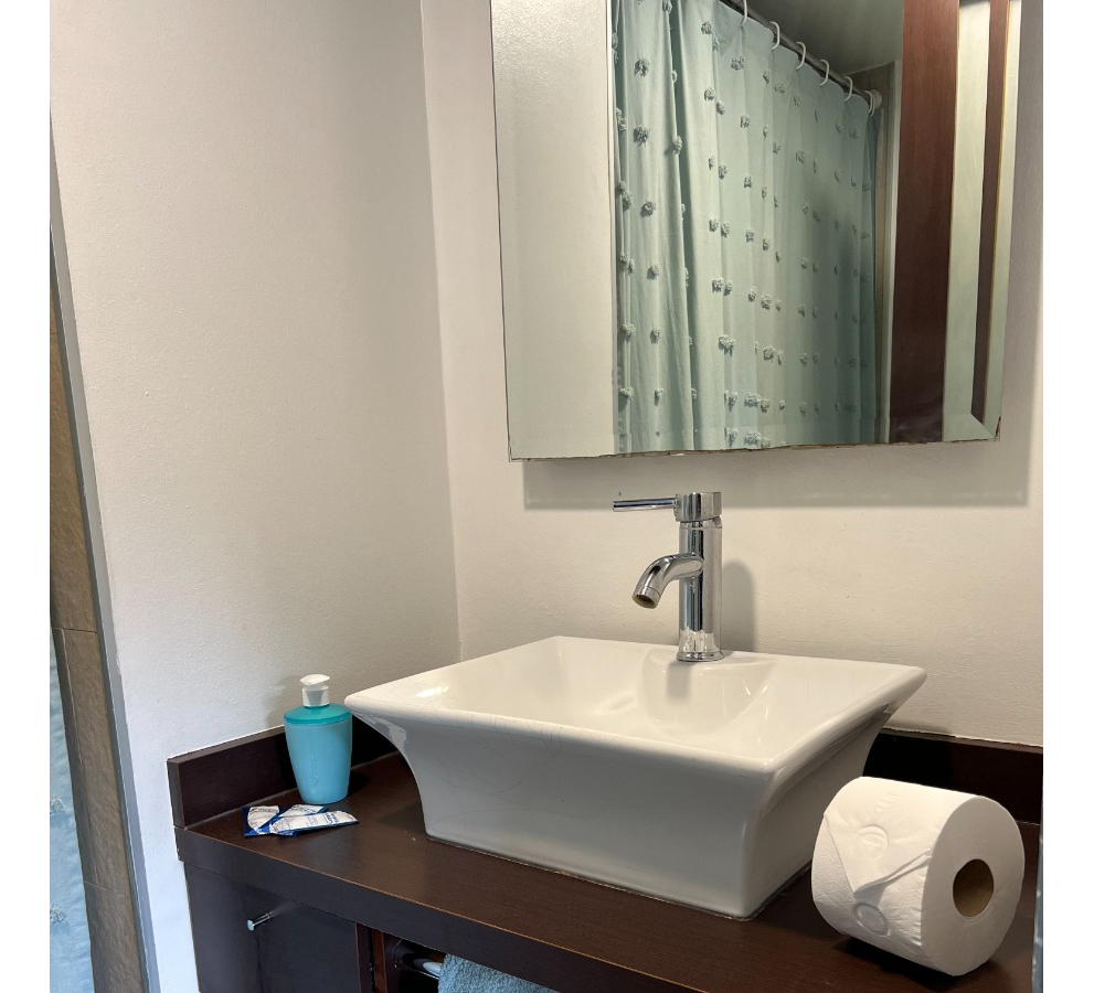 Venta Departamento 1D Los Leones - Providencia
