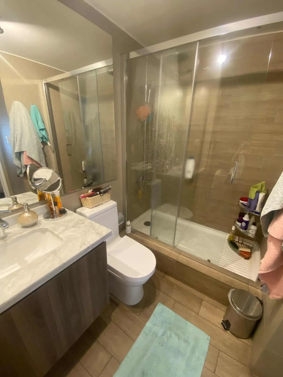 Arriendo Departamento 1D 1B 1E 1B In&eacute;s de Su&aacute;rez - Providencia