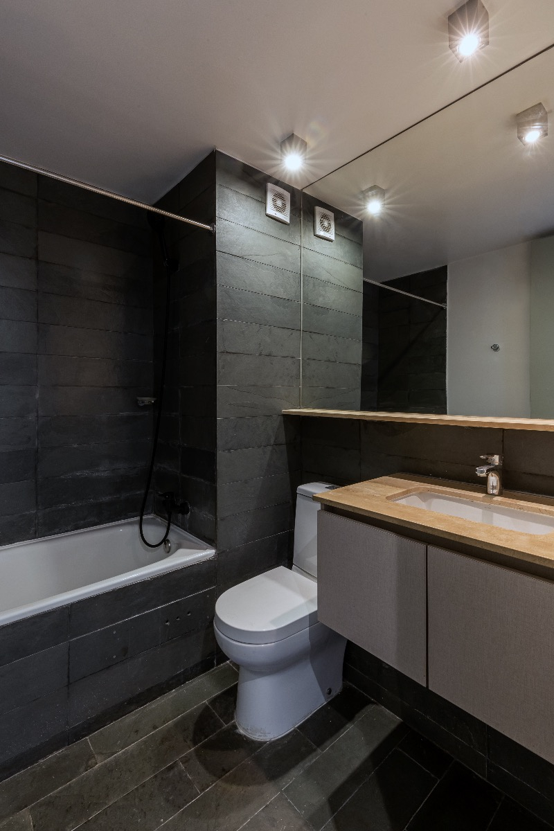 Arriendo Departamento SP 2D en suite 2B 1E In&eacute;s de Su&aacute;rez - Providencia