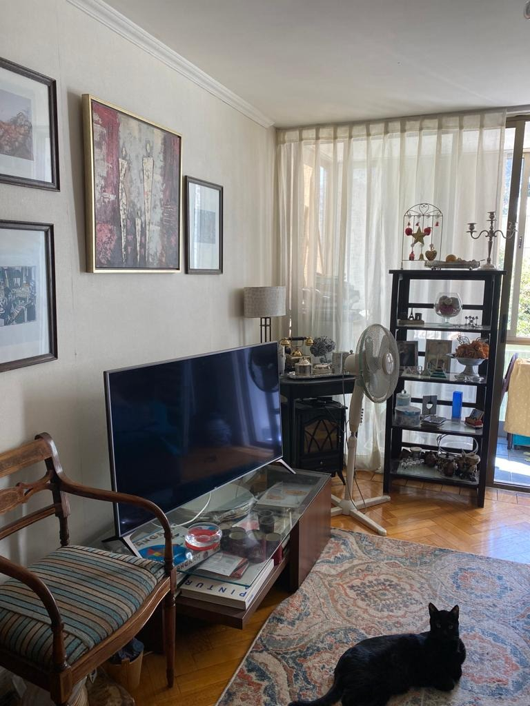 Arriendo Departamento NO 3D 2B 1E Salvador - Providencia