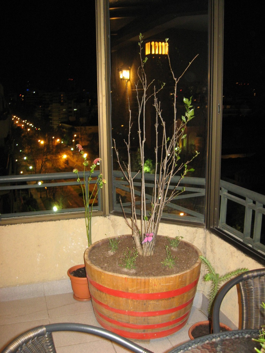 Arriendo Departamento NO 3D en suite Walk-in cl&oacute;set 3B 2E 1B Las Lilas - Providencia