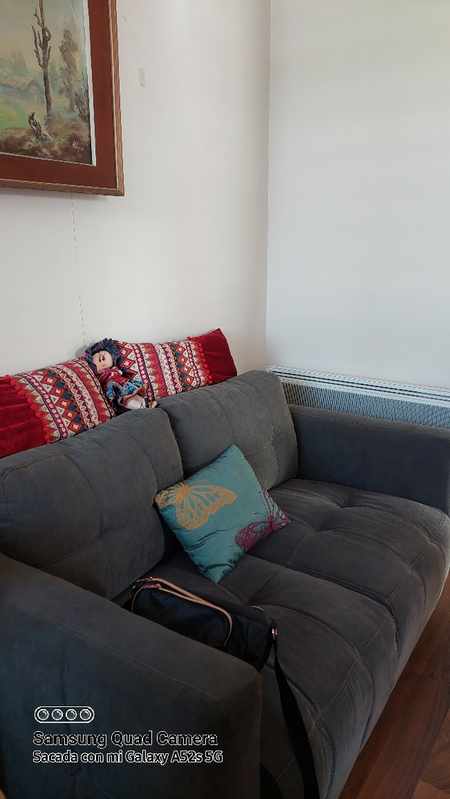 Venta Departamento 3D 3B 1E Blest Gana - La Reina