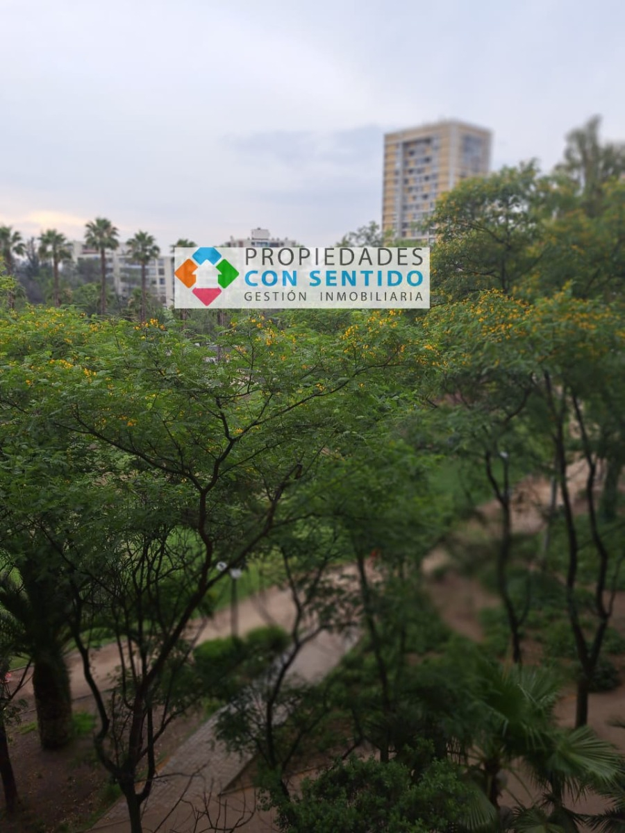 Arriendo Departamento 4D In&eacute;s de Su&aacute;rez - Providencia