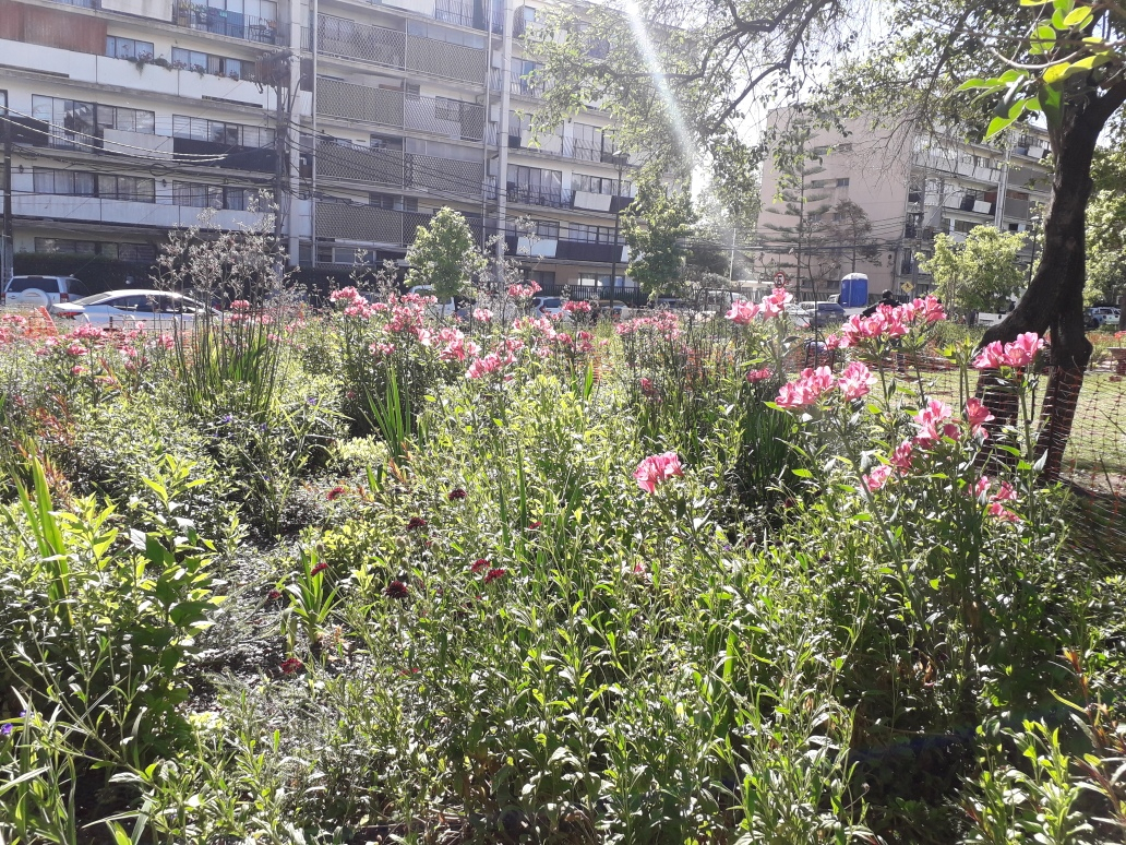 Venta Departamento 4D 1B In&eacute;s de Su&aacute;rez - Providencia