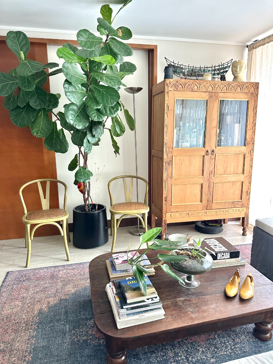 Venta Departamento 3D Puente Nuevo - Lo Barnechea