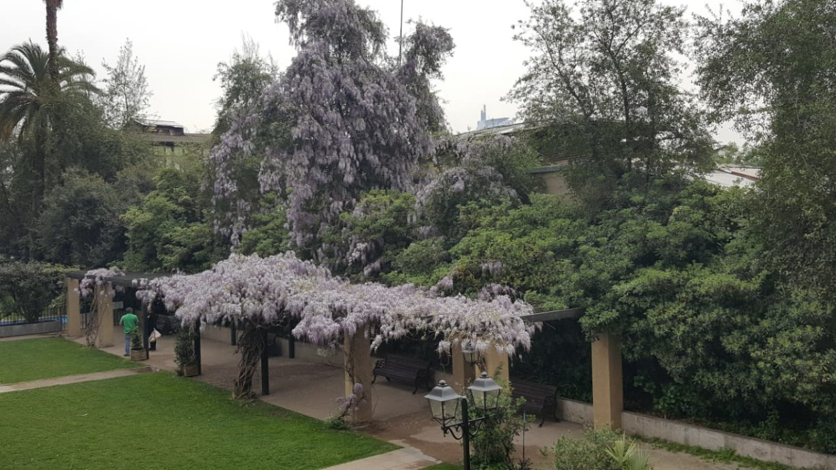 Venta Departamento NO 3D en suite 2B 1E 1Bd Barrio Italia - Providencia