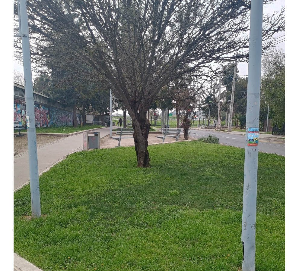 Venta Casa 3D 2B  - La Reina