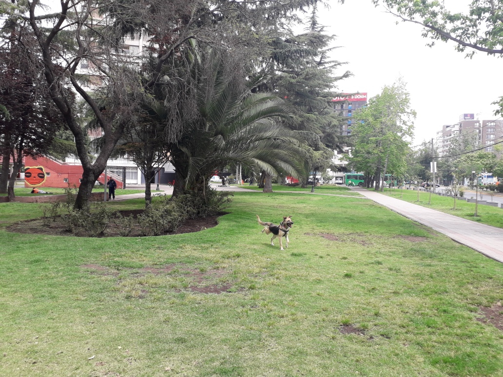 Venta Departamento 4D 1B In&eacute;s de Su&aacute;rez - Providencia