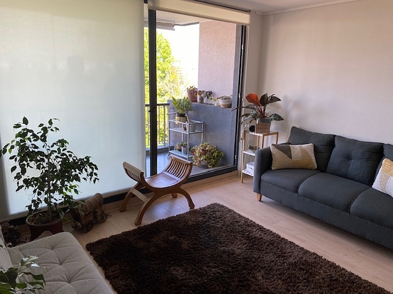 Arriendo Departamento 2D In&eacute;s de Su&aacute;rez - Providencia