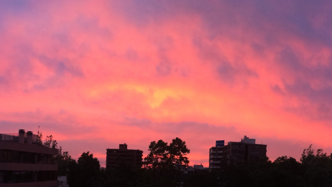 Arriendo Departamento 2D 2B 1E 1B Los Leones - Providencia