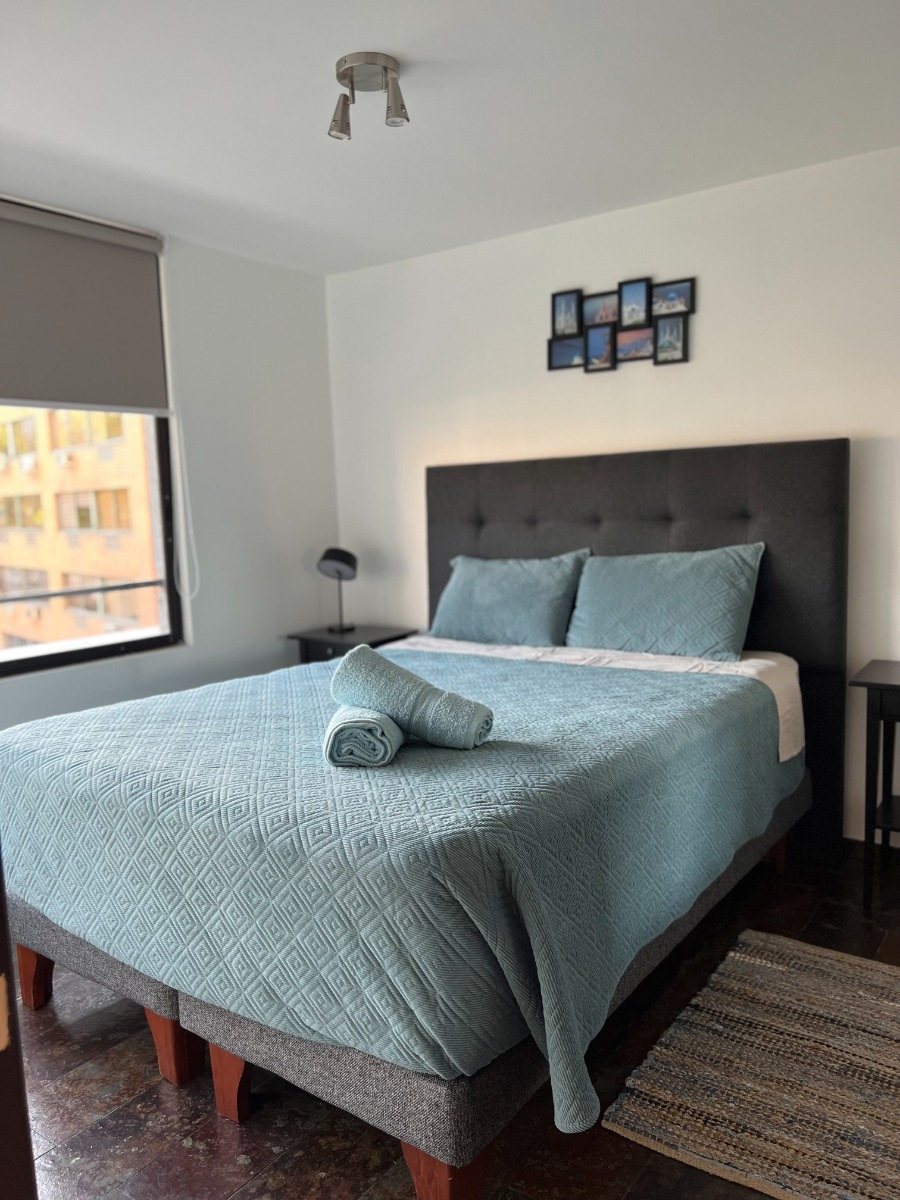 Venta Departamento 1D Los Leones - Providencia