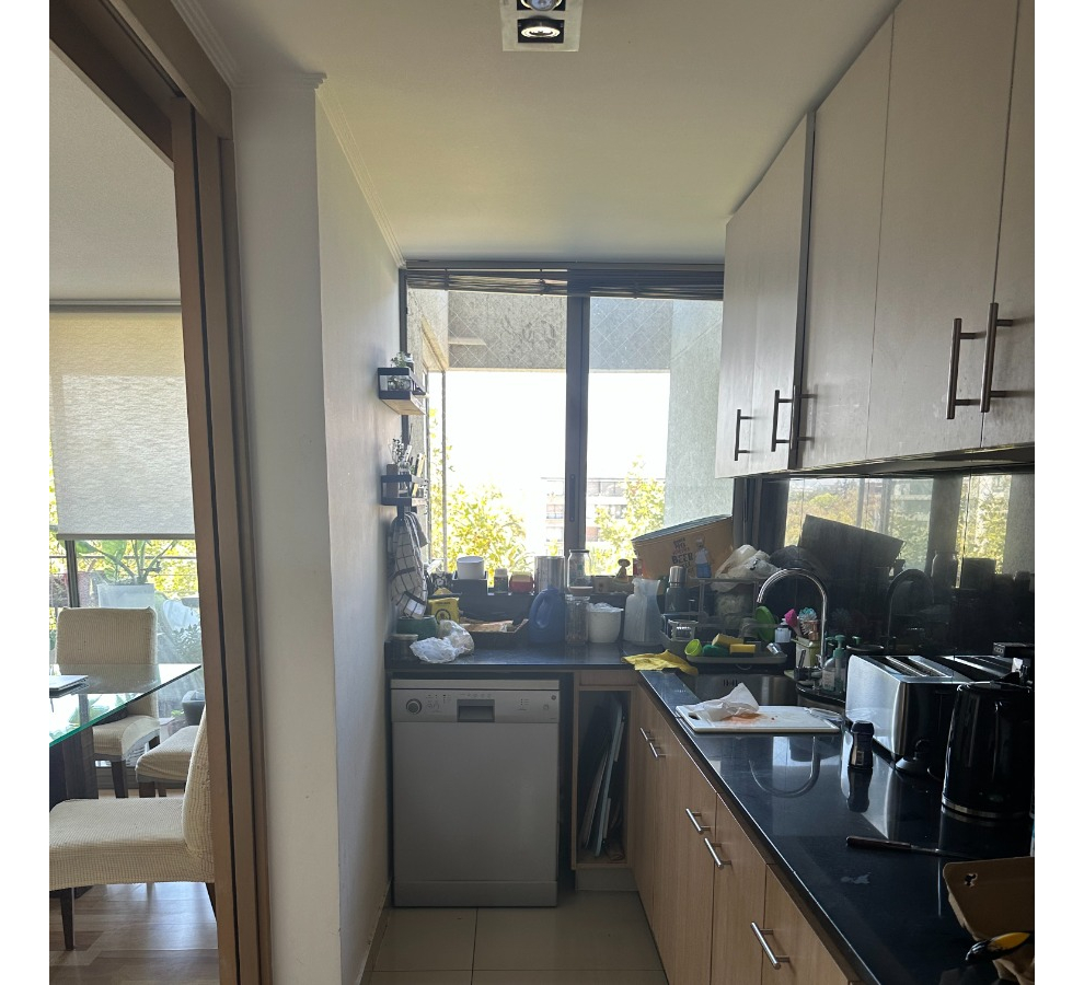 Arriendo Departamento NO 3D en suite Walk-in cl&oacute;set 3B 2E 1Bd In&eacute;s de Su&aacute;rez - Providencia