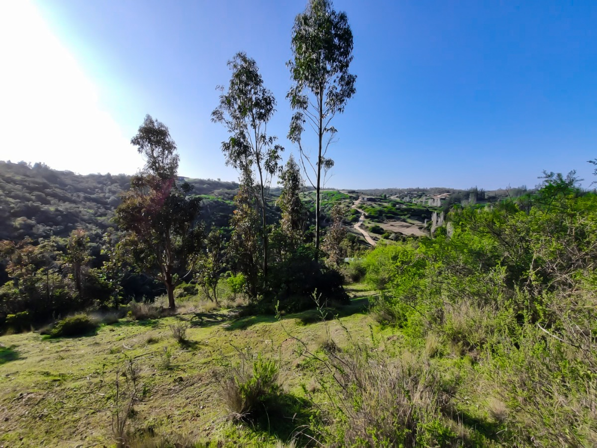 Venta Terreno Localidad de Navidad - Navidad
