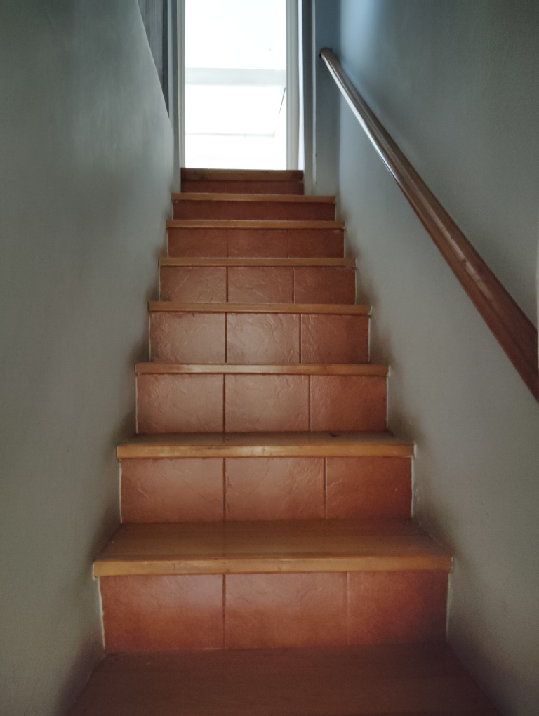 Venta Casa 8D 4B Bellavista - Providencia