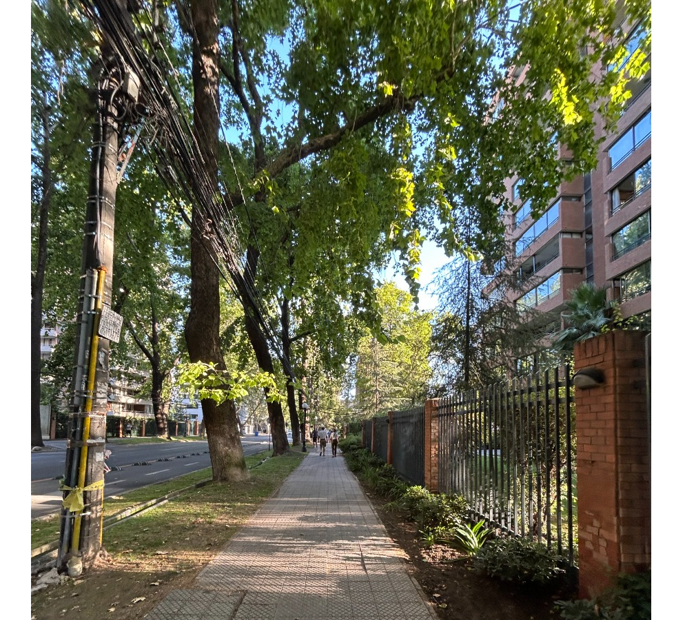 Arriendo Departamento SP 2D en suite Walk-in cl&oacute;set 2B 1E 1B Los Leones - Providencia