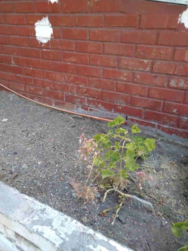 Venta Departamento 3D 2B Pedro de Valdivia - Providencia