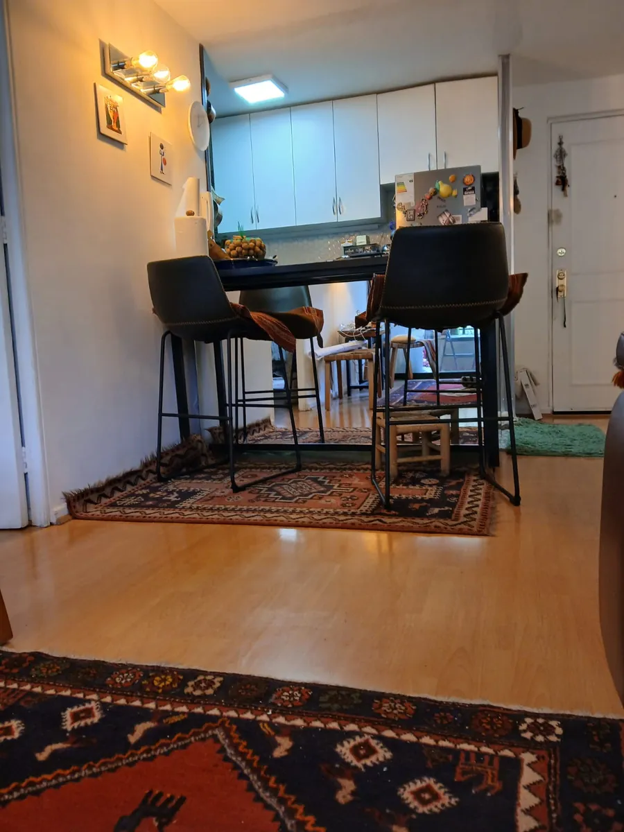 Venta Departamento P 1D WI cl&oacute;set Suite 1B 1E Las Lilas - Providencia