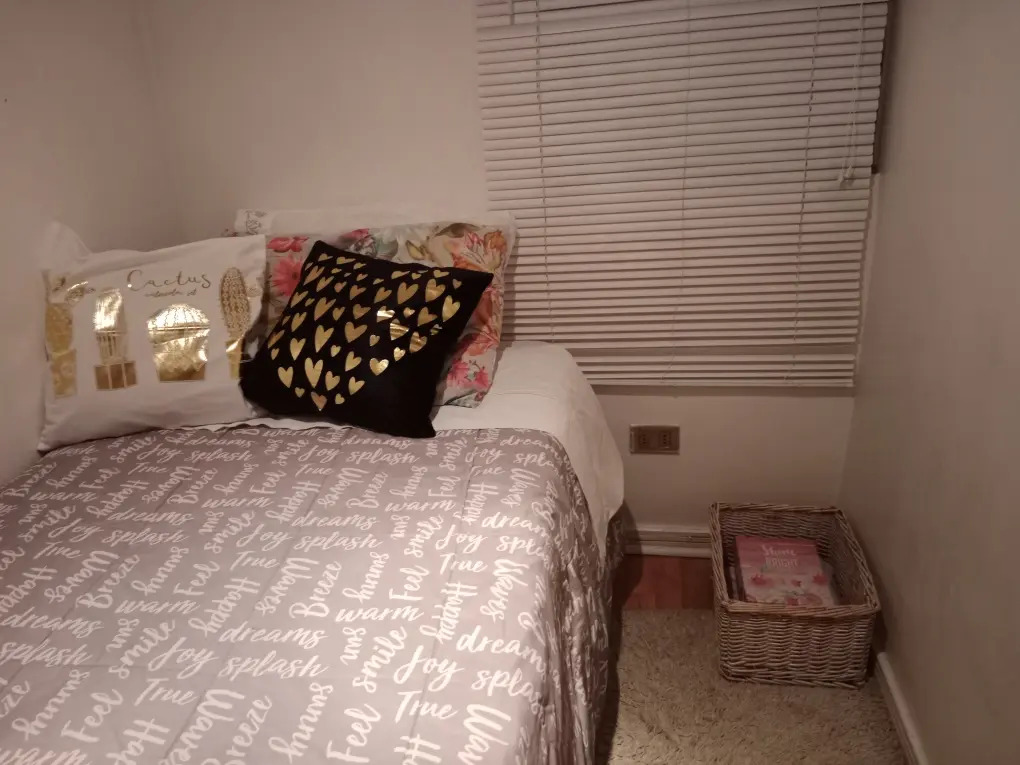 Arriendo Departamento 1D Antigua Lo Barnechea - Lo Barnechea