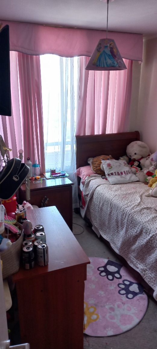 Arriendo Departamento 2D 2B 1E 1B Parque Juan XXIII - &Ntilde;u&ntilde;oa