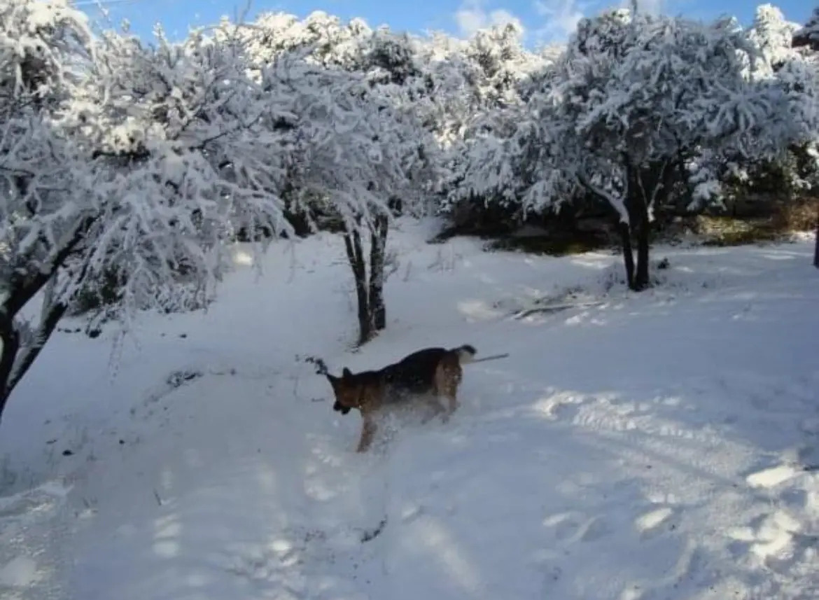 Arriendo Casa NO 5D en suite Walk-in cl&oacute;set 5B 2E 1B El Array&aacute;n - Lo Barnechea