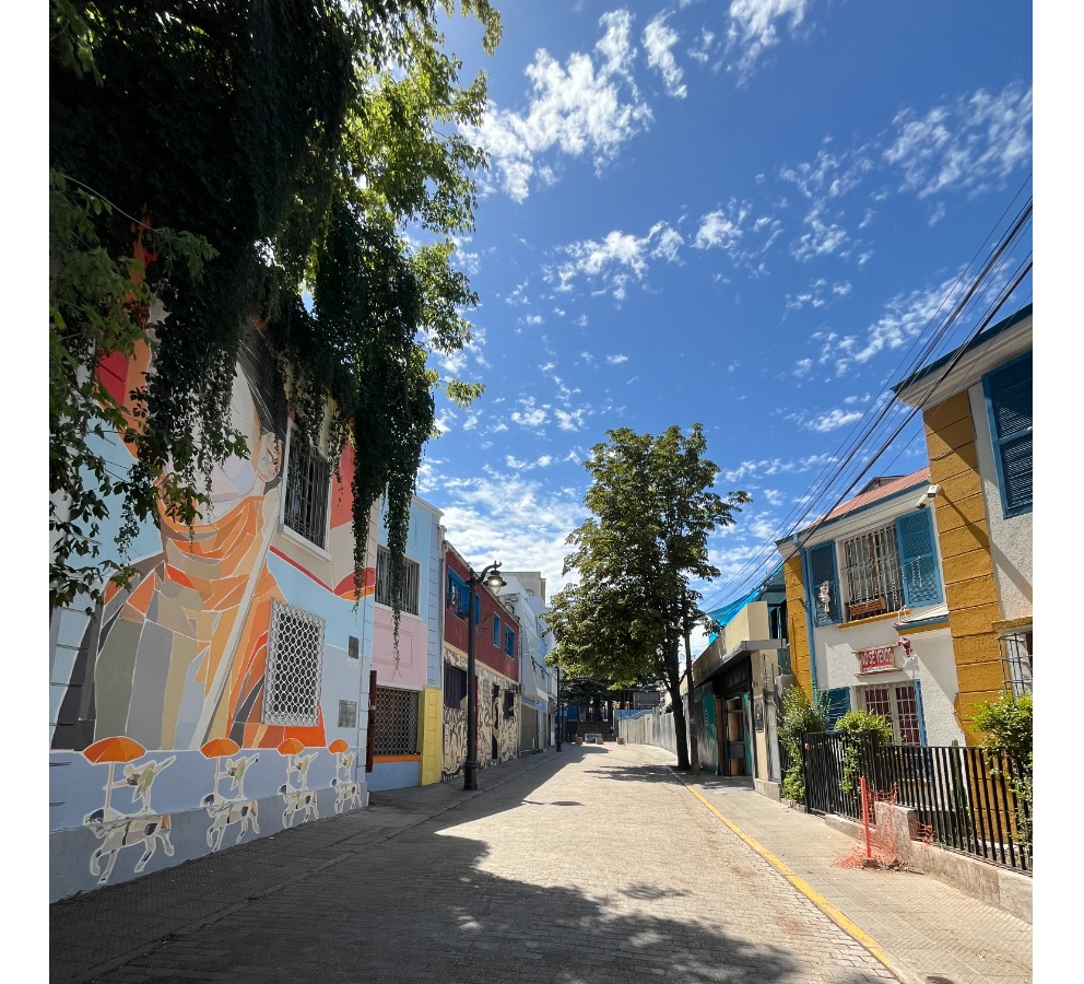 Venta Casa 8D 4B Bellavista - Providencia