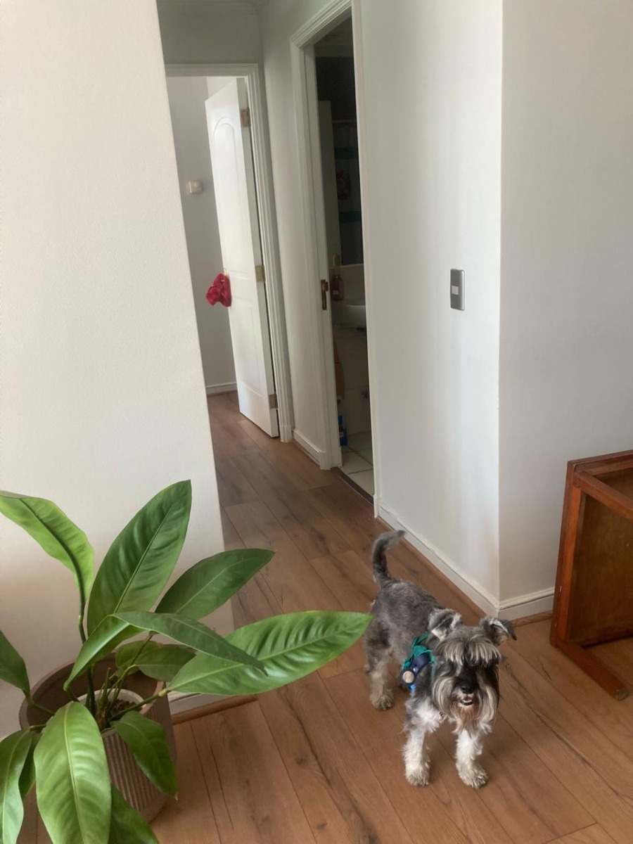 Arriendo Departamento O 2D 2B 1E 1B Barrio Italia - Providencia