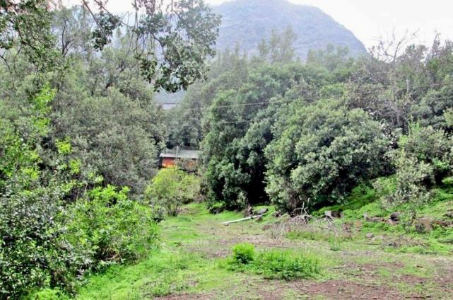 Venta Casa SO 4D en suite 2B 2E 1B Camino a Farellones - Lo Barnechea