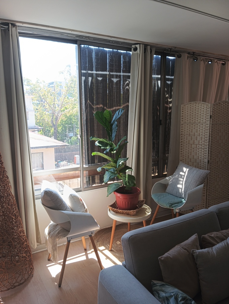 Arriendo Departamento 2D 2B 1E Los Leones - Providencia