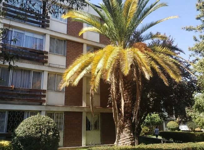 Venta Departamento NP 2D 1B Metro Irarr&aacute;zaval - &Ntilde;u&ntilde;oa