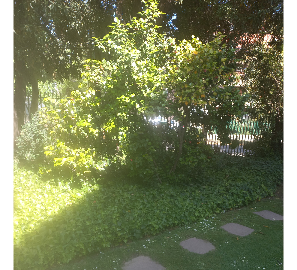 Venta Departamento NOSP 4D en suite 3B 1E 1B Sebasti&aacute;n Elcano - Las Condes