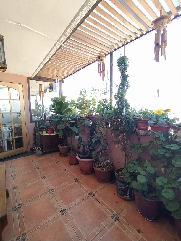 Venta Departamento 4D 4B 2E Las Lilas - Providencia